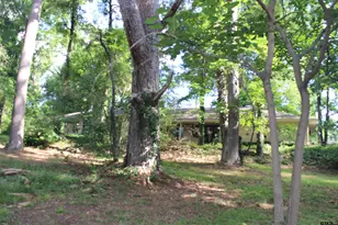 20312 S Hwy 69, Tyler, TX 75703 - Photo 5