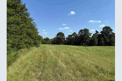 503 SE Cr 4380, Scroggins, TX 75480 - Photo 39