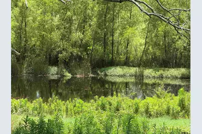 503 SE Cr 4380, Scroggins, TX 75480 - Photo 43