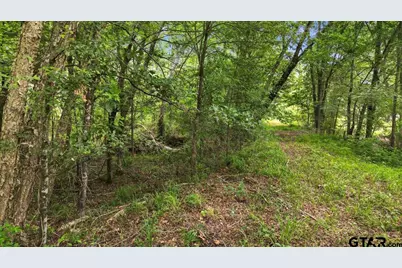 Tbd Cr 3289, Quitman, TX 75783 - Photo 13