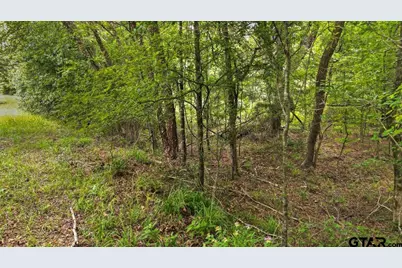 Tbd Cr 3289, Quitman, TX 75783 - Photo 17