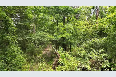 Tbd Cr 3289, Quitman, TX 75783 - Photo 11