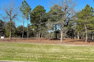 3135 Shadow Pne Dr, LaRue, TX 75770 - Photo 1