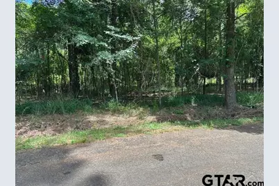 0000 Flamingtree Way, Flint, TX 75762 - Photo 1