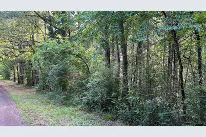 401 County Road 2920, Golden, TX 75444 - Photo 7