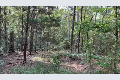 401 County Road 2920, Golden, TX 75444 - Photo 13