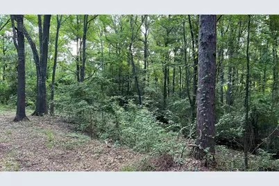 401 County Road 2920, Golden, TX 75444 - Photo 3