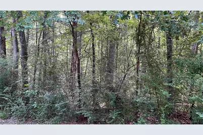 401 County Road 2920, Golden, TX 75444 - Photo 11