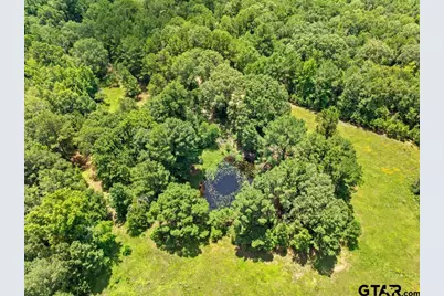 5353 Cr 385, Tyler, TX 75708 - Photo 23