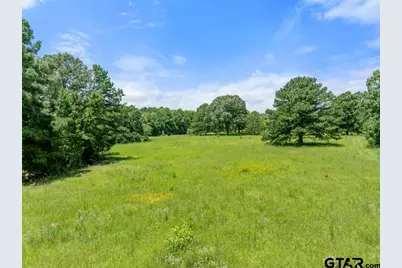 5353 Cr 385, Tyler, TX 75708 - Photo 19