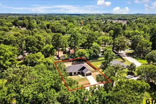 19081 Pinedale Cir, Flint, TX 75762 - Photo 41