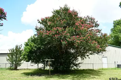 204 Mt. Sylvan St, Lindale, TX 75771 - Photo 29