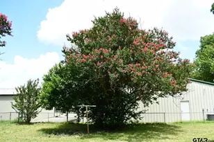 204 Mt Sylvan St, Lindale, TX 75771 - Photo 29