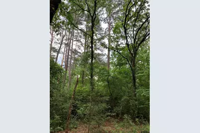 300 & 301 Misty Glen Lane, Holly Lake Ranch, TX 75765 - Photo 5