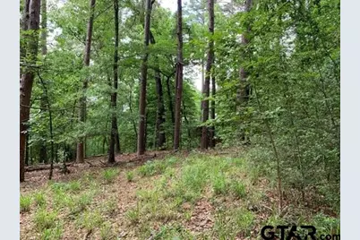 300 & 301 Misty Glen Lane, Holly Lake Ranch, TX 75765 - Photo 3