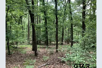 300 & 301 Misty Glen Lane, Holly Lake Ranch, TX 75765 - Photo 1