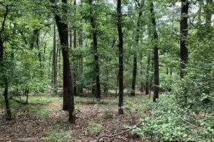 300 & 301 Misty Glen Ln, Holly Lake Ranch, TX 75765 - Photo 1