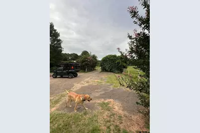 12251 Fm 16 East, Winona, TX 75792 - Photo 9