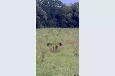 12251 Fm 16 East, Winona, TX 75792 - Photo 31