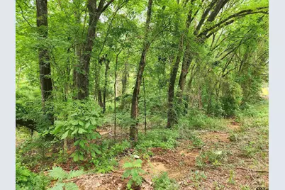 Lot 6 Cr 4125, Lindale, TX 75771 - Photo 3