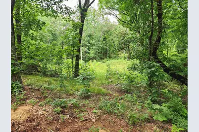 Lot 6 Cr 4125, Lindale, TX 75771 - Photo 1