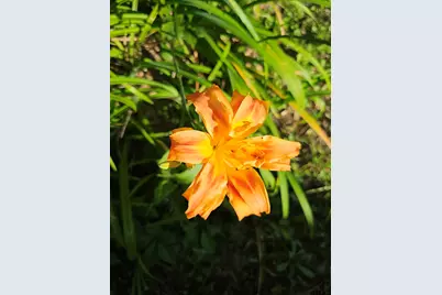 10726 Cr 384, Tyler, TX 75708 - Photo 47