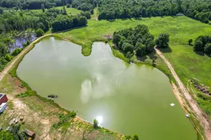 2711 N Fm 250, Hughes Springs, TX 75656 - Photo 37