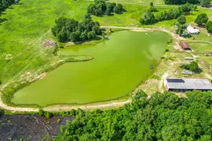 2711 N Fm 250, Hughes Springs, TX 75656 - Photo 33