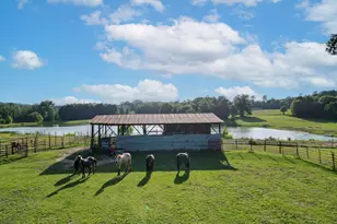 2711 N Fm 250, Hughes Springs, TX 75656 - Photo 43