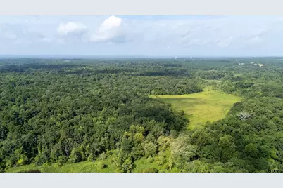Tbd Cr 2650, Mineola, TX 75773 - Photo 3