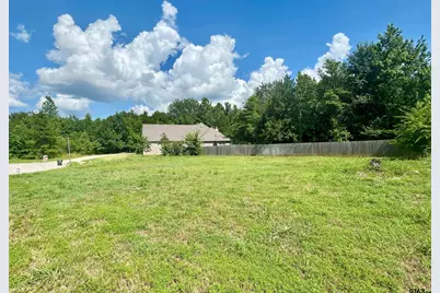 7761 Laurel Springs Ln, Tyler, TX 75703 - Photo 3
