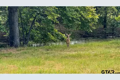 2382 Crystal Dr, Athens, TX 75752 - Photo 7