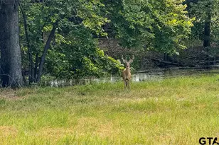 2382 Crystal Dr, Athens, TX 75752 - Photo 7