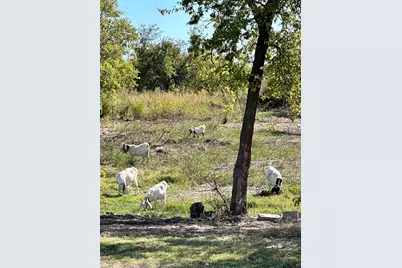 1146 County Road 2175, Klondike, TX 75448 - Photo 11