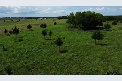 1146 County Road 2175, Klondike, TX 75448 - Photo 1