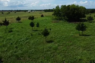 1146 Co Rd 2175, Klondike, TX 75448 - Photo 1