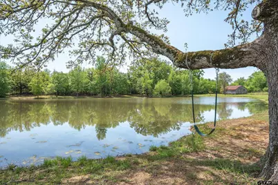 450 Private Road 5815, Grand Saline, TX 75140 - Photo 35