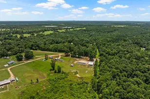 12524 Fm 2088, Pittsburg, TX 75686 - Photo 45