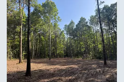 Tract 3A Cr 2322, Rusk, TX 75785 - Photo 3