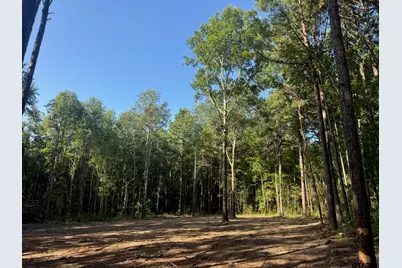 Tract 3A Cr 2322, Rusk, TX 75785 - Photo 5