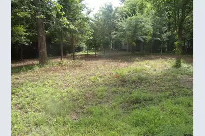 751 Dogwood Trail, Murchison, TX 75778 - Photo 1