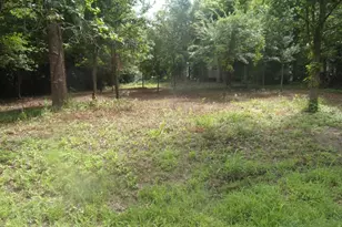 751 Dogwood Trail, Murchison, TX 75778 - Photo 1