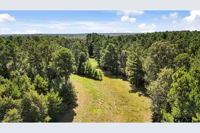 Tbd Sue Belle Rd., Marshall, TX 75670 - Photo 1