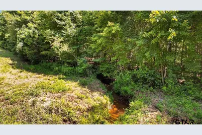 Tbd Sue Belle Rd., Marshall, TX 75670 - Photo 13