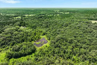 1987 Cr 3234, Quitman, TX 75783 - Photo 45