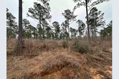 Tbd Fm 747, Jacksonville, TX 75766 - Photo 19