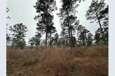 Tbd Fm 747, Jacksonville, TX 75766 - Photo 23