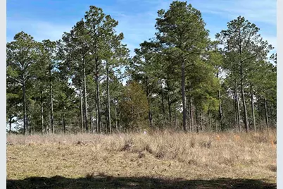 Tbd Fm 747, Jacksonville, TX 75766 - Photo 39