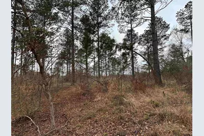 Tbd Fm 747, Jacksonville, TX 75766 - Photo 5