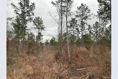 Tbd Fm 747, Jacksonville, TX 75766 - Photo 7